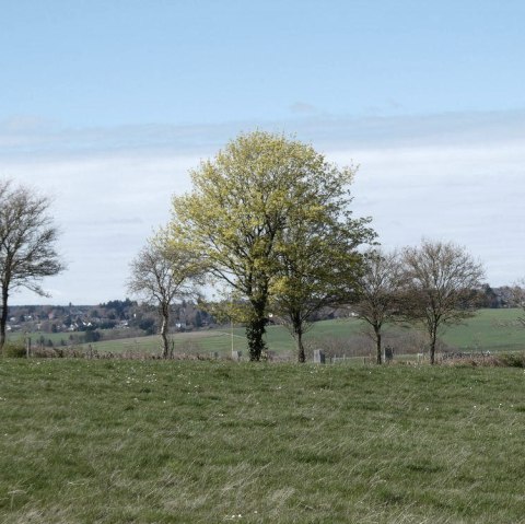 Aussicht aufs Feld, © Guido Hendle Aussicht aufs Feld, © Guido Hendle