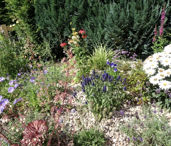 Vorgarten, © Nordeifel Tourismus GmbH & Eifel-mökki Vorgarten, © Nordeifel Tourismus GmbH & Eifel-mökki