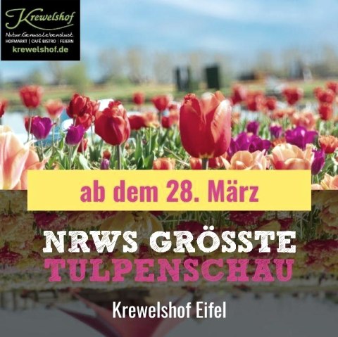 Tulpenschau, © Krewelshof Tulpenschau, © Krewelshof