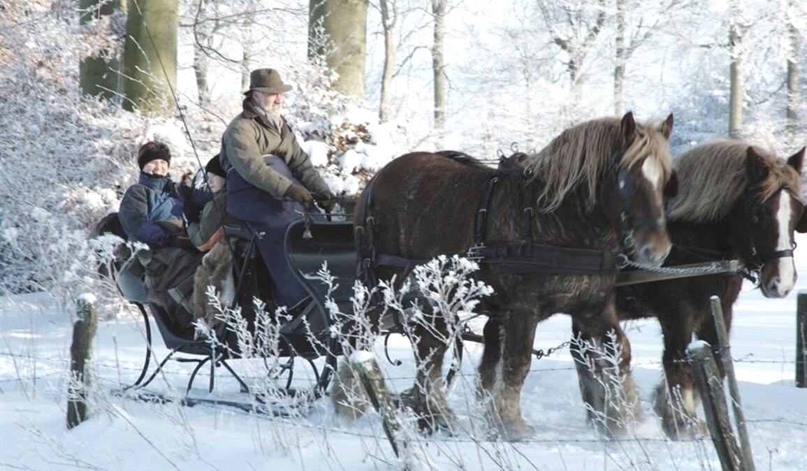 Bauershof, © Friedrich Bauer Bauershof, © Friedrich Bauer