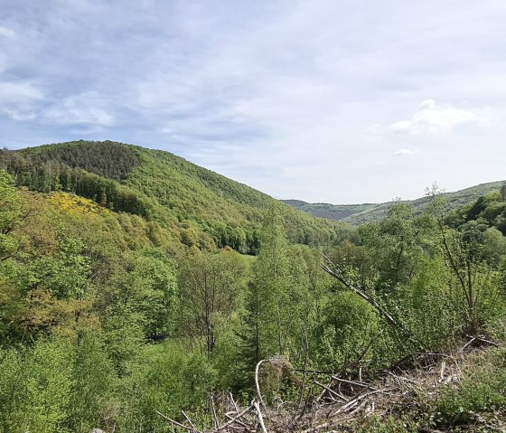 Aussicht ins Grüne, © Rureifel-Tourismus e.V. Aussicht ins Grüne, © Rureifel-Tourismus e.V.