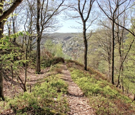 Auf dem Hundsleyweg Auf dem Hundsleyweg