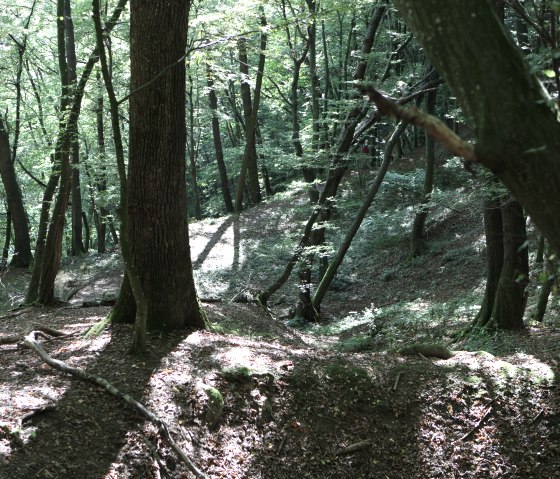 Untouched nature Untouched nature