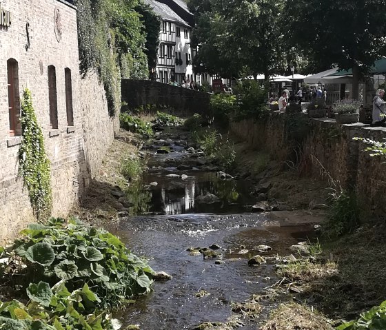 IMG_20200719_161630, © Nordeifel Tourismus GmbH & Grunwald Hotel IMG_20200719_161630, © Nordeifel Tourismus GmbH & Grunwald Hotel