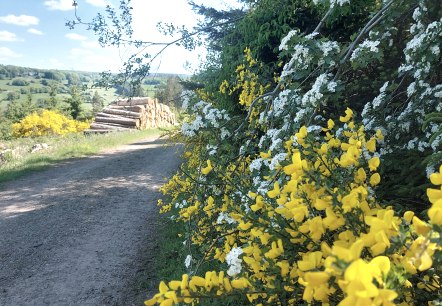 Frühling Aussicht (co) Theißen-Braun Frühling Aussicht (co) Theißen-Braun