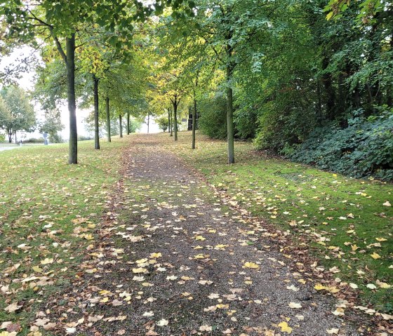 20211013_093217, © Annette Rosen-Roevenich & Nordeifel Tourismus GmbH 20211013_093217, © Annette Rosen-Roevenich & Nordeifel Tourismus GmbH