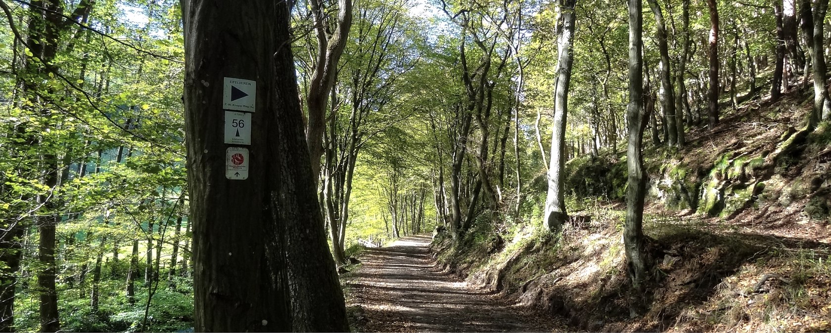 Wegstück mit Wald und Beschilderung, © Der Eifelyeti.de Wegstück mit Wald und Beschilderung, © Der Eifelyeti.de