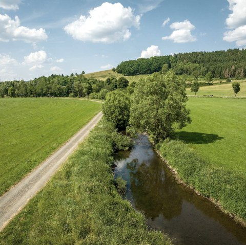 Die Kyll, © Eifel Tourismus, Dominik Ketz Die Kyll, © Eifel Tourismus, Dominik Ketz