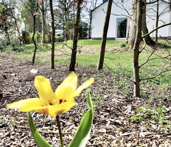 Garten im Frühjahr, © Nordeifel Tourismus GmbH & Freiraum Ferienhaus Garten im Frühjahr, © Nordeifel Tourismus GmbH & Freiraum Ferienhaus