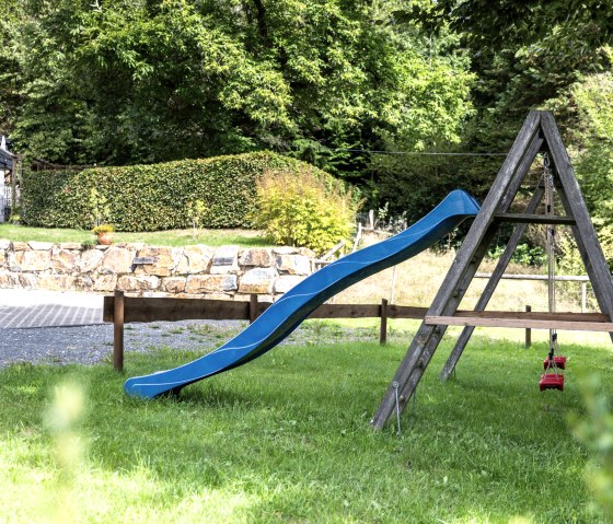 Sonnentau-4L2A9256 Sonnentau-4L2A9256