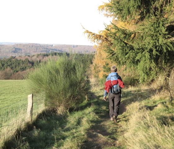 Wildnis-Trail, © Eric Neyrinck Wildnis-Trail, © Eric Neyrinck