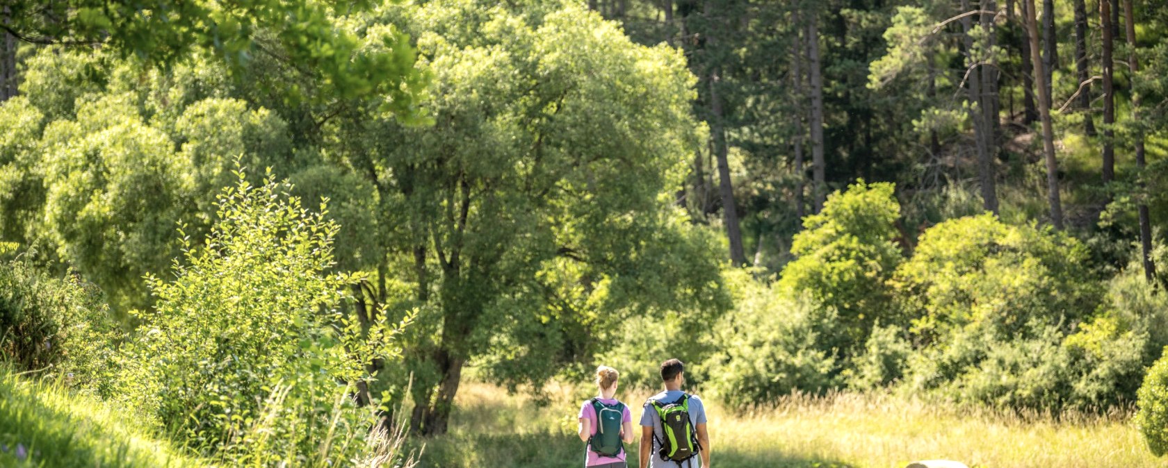 Geführte Wanderung, © Eifel Tourismus GmbH - Dominik Ketz Geführte Wanderung, © Eifel Tourismus GmbH - Dominik Ketz