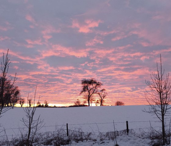 Abendglühen Schnee (co) Theißen-Braun Abendglühen Schnee (co) Theißen-Braun