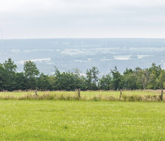 Aussicht vom Eifel-Blick Steling, © Eifel Tourismus GmbH, AR-shapefruit AG Aussicht vom Eifel-Blick Steling, © Eifel Tourismus GmbH, AR-shapefruit AG