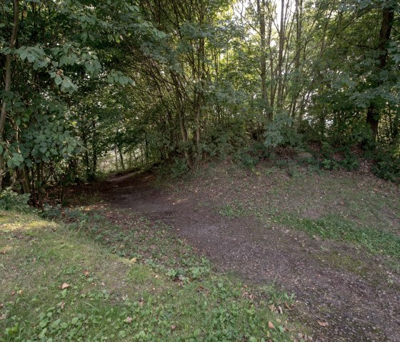 Forest route, © some.oner Forest route, © some.oner