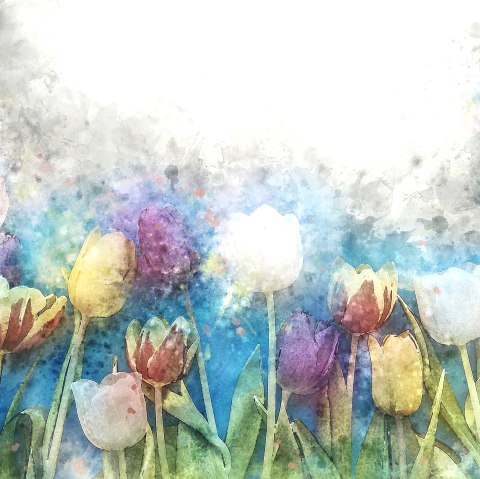 Blumenwiesen, © pixabay.com Blumenwiesen, © pixabay.com