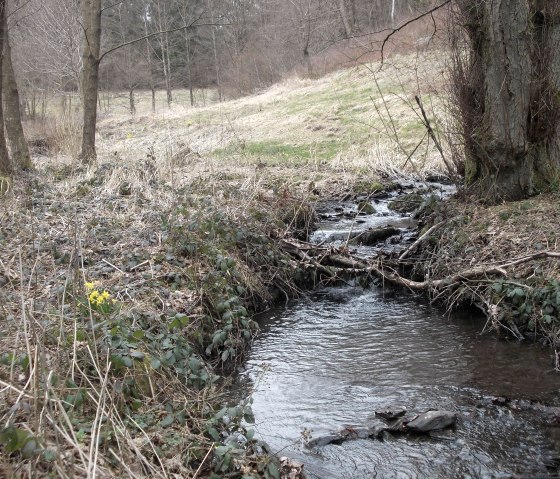 Weidenbachtal, © Eifel heimisch Weidenbachtal, © Eifel heimisch