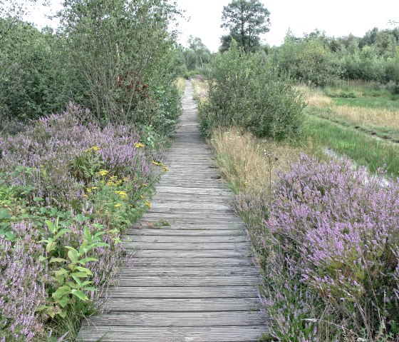 Stege der Drover Heide Stege der Drover Heide
