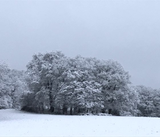 Winter Landscape, © C. Wolter Winter Landscape, © C. Wolter