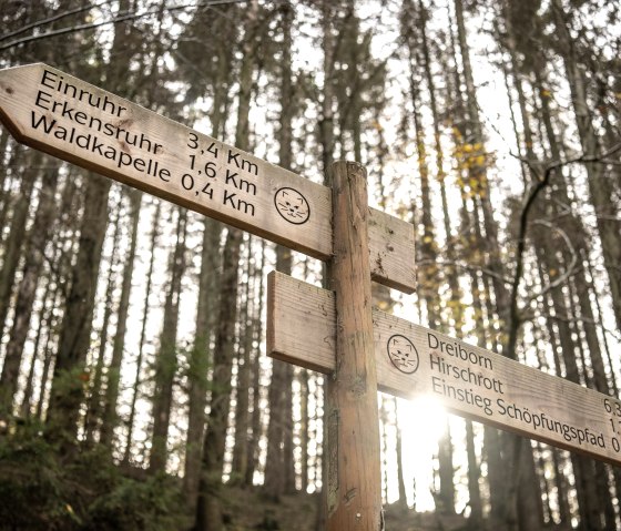 Wilderness Trail signposting, © Eifel Tourismus GmbH, Dominik Ketz Wilderness Trail signposting, © Eifel Tourismus GmbH, Dominik Ketz