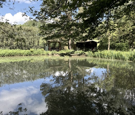 Nationalpark-Randweg Nr. 20, © Rureifel-Tourismus e.V., Dennis Winands Nationalpark-Randweg Nr. 20, © Rureifel-Tourismus e.V., Dennis Winands