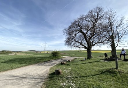 Blick vom Vlattener Bördeblick, © Rureifel-Tourismus e.V. Blick vom Vlattener Bördeblick, © Rureifel-Tourismus e.V.