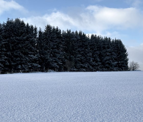 Winter Landscape, © C. Wolter Winter Landscape, © C. Wolter