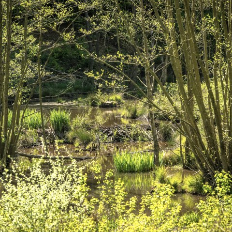 Omerbach Valley, © Kupferstadt Stolberg, Dominik Ketz Omerbach Valley, © Kupferstadt Stolberg, Dominik Ketz