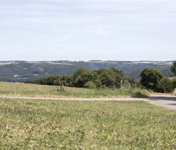 Flurheckenweg Eicherscheid, © Eifel Tourismus GmbH, Tobias Vollmer Flurheckenweg Eicherscheid, © Eifel Tourismus GmbH, Tobias Vollmer