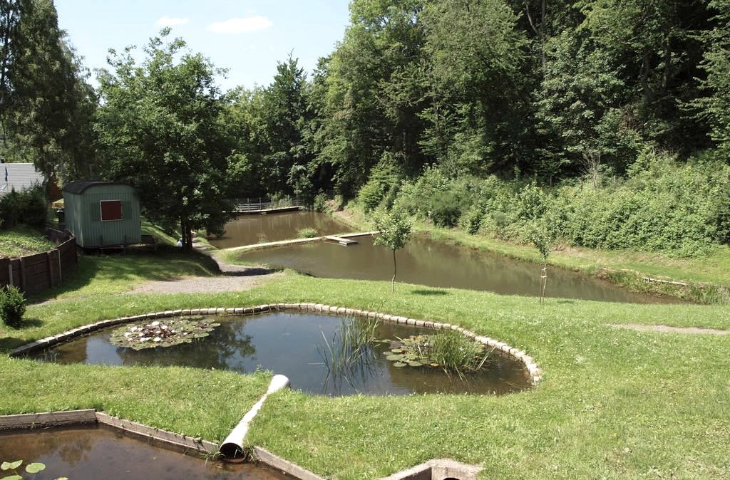 Teich am Silberquellchen, © Eifel Tourismus Teich am Silberquellchen, © Eifel Tourismus