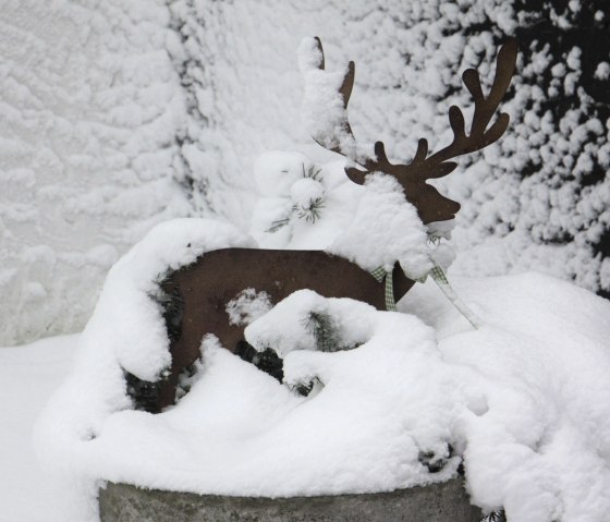 Unser Hirsch im Schnee Unser Hirsch im Schnee