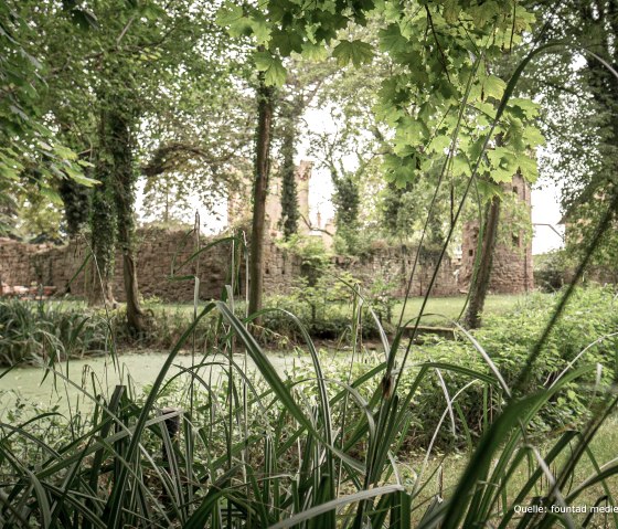 Teich, © fountad mediendesign GbR, Philipp Jungbluth Teich, © fountad mediendesign GbR, Philipp Jungbluth