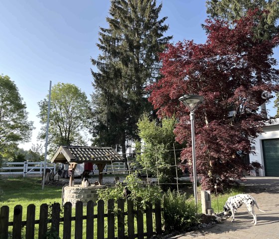 Brunnen-Reitplatz Brunnen-Reitplatz
