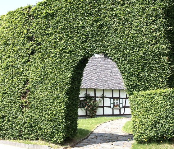 House hedge House hedge
