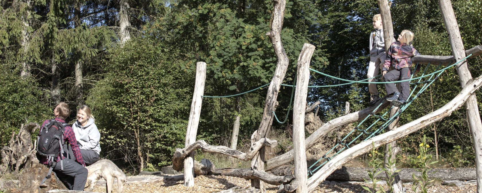 Walderlebnisparcours Kölschkier, Spinnennetz, © Eifel Tourismus GmbH, Tobias Vollmer - finanziert duch REACT-EU Walderlebnisparcours Kölschkier, Spinnennetz, © Eifel Tourismus GmbH, Tobias Vollmer - finanziert duch REACT-EU