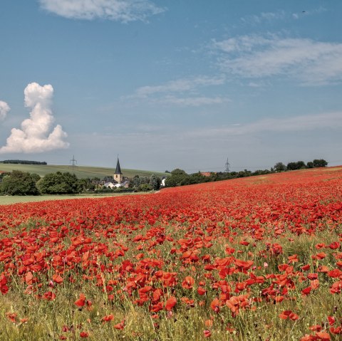 Blick auf Muldenau Blick auf Muldenau