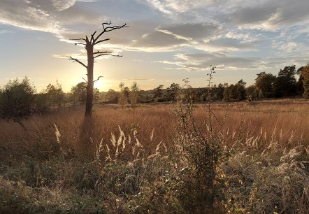 Abendstimmung Oktober (co) Theißen-Braun Abendstimmung Oktober (co) Theißen-Braun