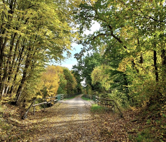 Ein herbstlicher Radweg auf einer ehemaligen Bahntrasse, gesäumt von bunten Bäumen und Laub auf dem Boden., © Sweco GmbH Ein herbstlicher Radweg auf einer ehemaligen Bahntrasse, gesäumt von bunten Bäumen und Laub auf dem Boden., © Sweco GmbH