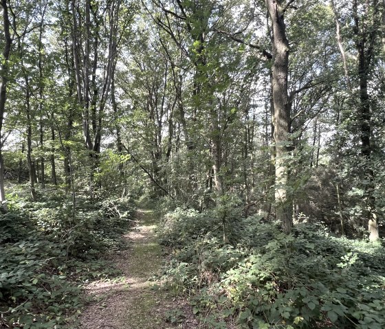 IMG_3372, © Rureifel-Tourismus e.V., Michelle Wiesen IMG_3372, © Rureifel-Tourismus e.V., Michelle Wiesen