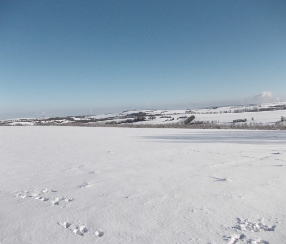 Winterlandschaft, © Eifel heimisch Winterlandschaft, © Eifel heimisch