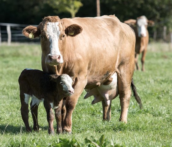 _67B9416-46 _67B9416-46