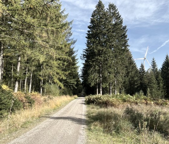 Entlang der Tour, © Rureifel-Tourismus e.V., Michelle Wiesen Entlang der Tour, © Rureifel-Tourismus e.V., Michelle Wiesen