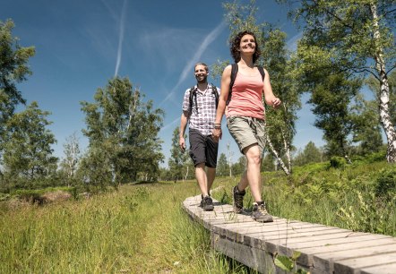 Holzstege über Moorflächen, © Eifel Tourismus, Dominik Ketz Holzstege über Moorflächen, © Eifel Tourismus, Dominik Ketz