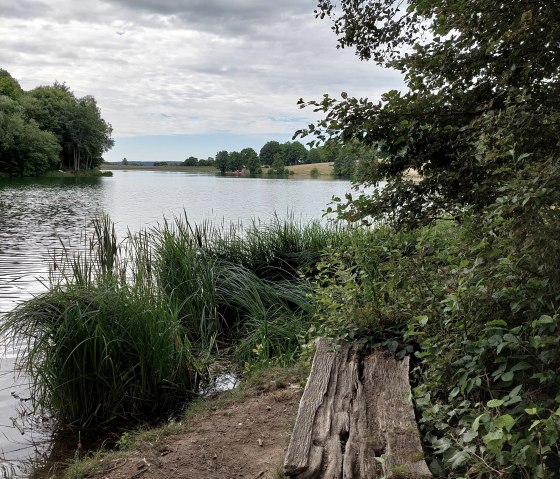 20220731_105518, © Nordeifel Tourismus GmbH & Ferienwohnung a Bäckesch 17 20220731_105518, © Nordeifel Tourismus GmbH & Ferienwohnung a Bäckesch 17