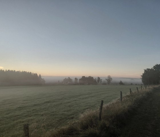 Nebel am Morgen in Kaltherberg Nebel am Morgen in Kaltherberg