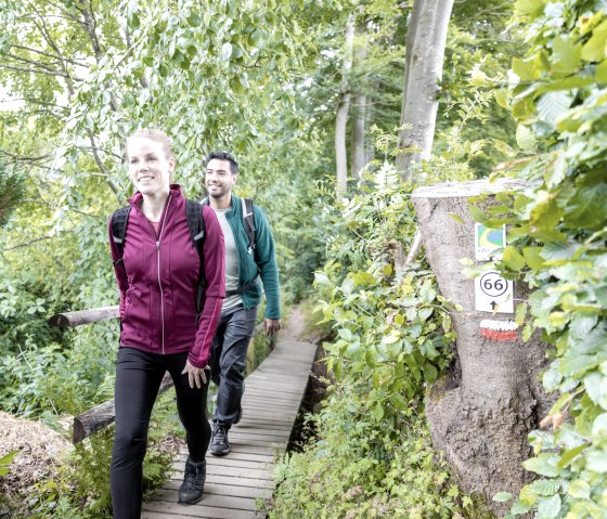 Unterwegs in Mützenich - Wanderweg Nr. 66, © Eifel-Tourismus GmbH, A. Röser shapefruit AG Unterwegs in Mützenich - Wanderweg Nr. 66, © Eifel-Tourismus GmbH, A. Röser shapefruit AG