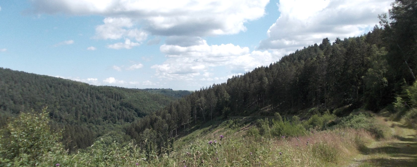 Buhlert, © Eifel heimisch Buhlert, © Eifel heimisch