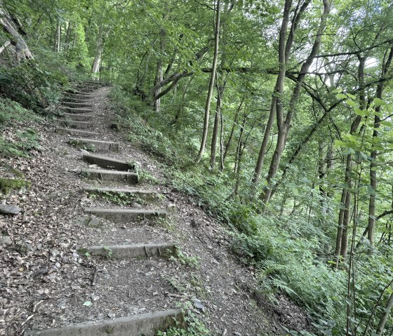 IMG_6345, © Rureifel-Tourismus e.V., Dennis Winands IMG_6345, © Rureifel-Tourismus e.V., Dennis Winands