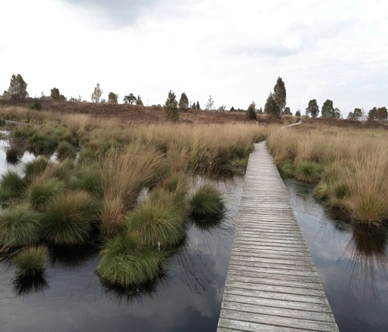 High Fens Nature Park High Fens Nature Park