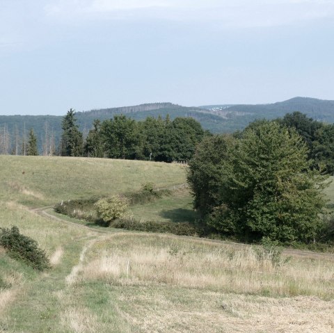 Wide View, © Eifel heimisch Wide View, © Eifel heimisch
